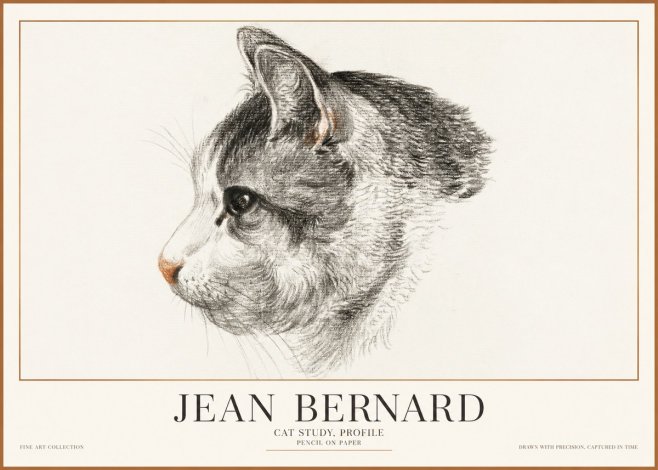 Jean Bernard Cat Study, Profile No1 - Affiche