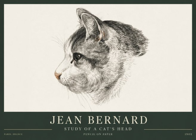 Jean Bernard Cat Study, Profile No4 - Affiche