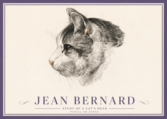 Jean Bernard Cat Study, Profile No5 - Affiche