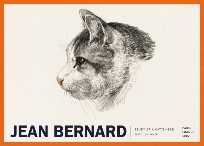 Jean Bernard Cat Study, Profile No6 - Affiche