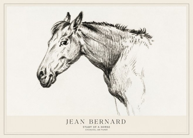Jean Bernard Study of a Horse VI No1 - Affiche
