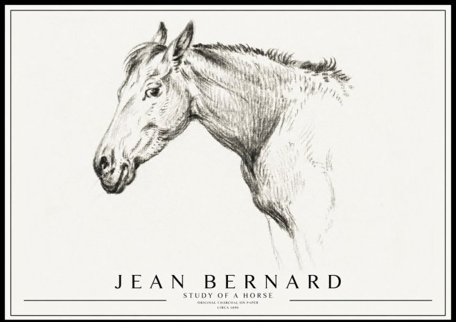 Jean Bernard Study of a Horse VI No3 - Affiche