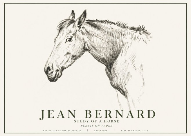 Jean Bernard Study of a Horse VI No6 - Affiche