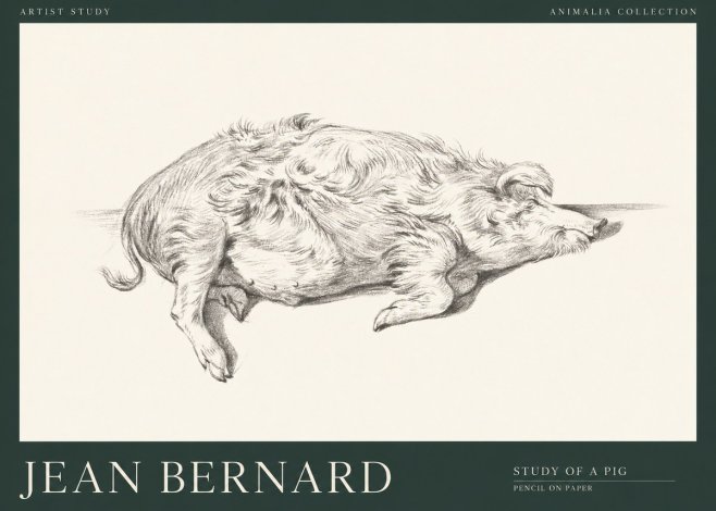 Jean Bernard Study of a Pig I No1 - Affiche