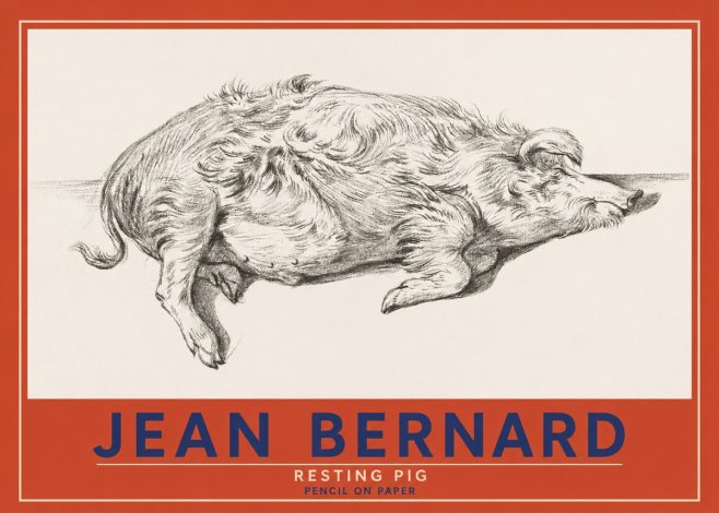 Jean Bernard Study of a Pig I No4 - Affiche