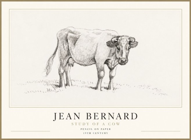 Jean Bernard Study of a Cow V No1 - Affiche