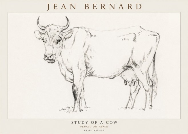 Jean Bernard Study of a Cow VI No3 - Affiche