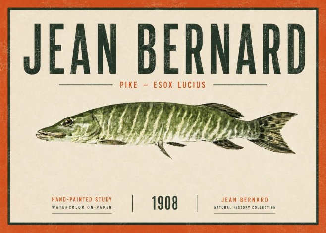 Jean Bernard Northern Pike No6 - Affiche