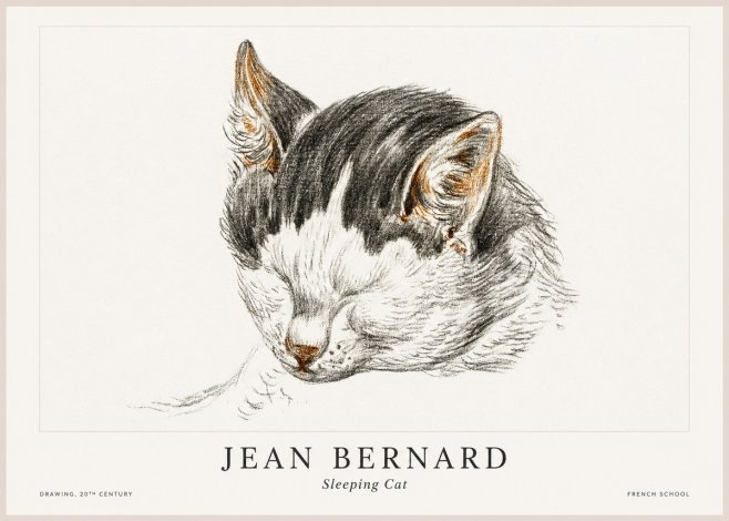 Jean Bernard Sleeping Cat V No1 - Affiche