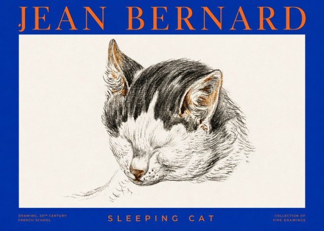 Jean Bernard Sleeping Cat V No2 - Affiche