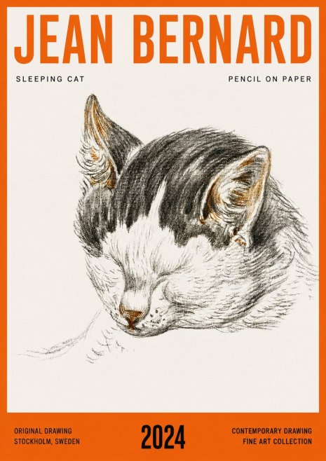 Jean Bernard Sleeping Cat V No4 - Affiche