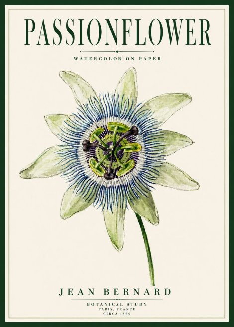 Jean Bernard Passionflower No5 - Affiche