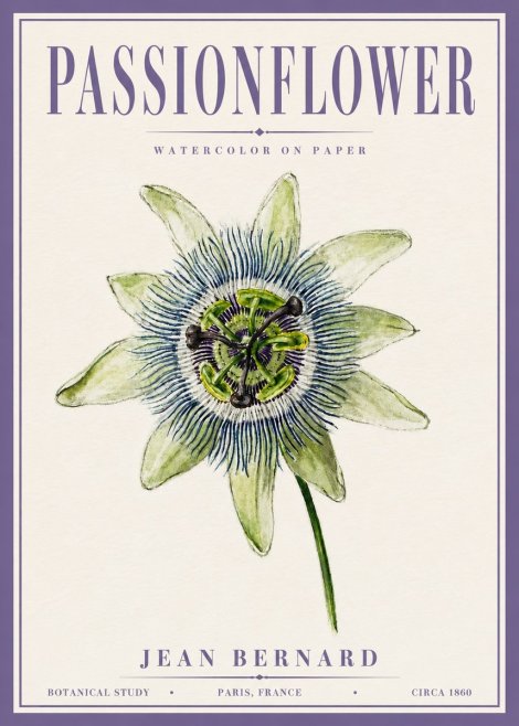 Jean Bernard Passionflower No6 - Affiche
