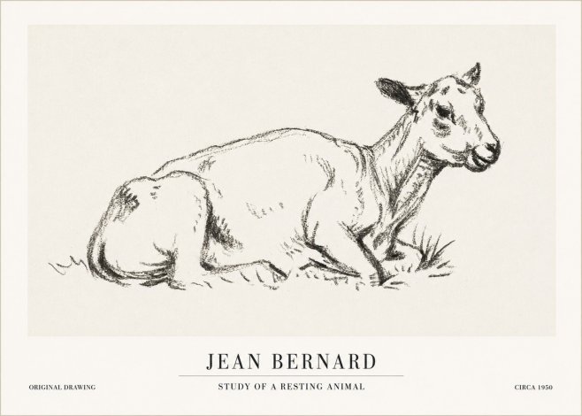 Jean Bernard Study of a Resting Animal No1 - Affiche
