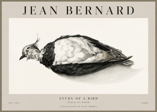 Jean Bernard Study of a Bird II No1 - Affiche