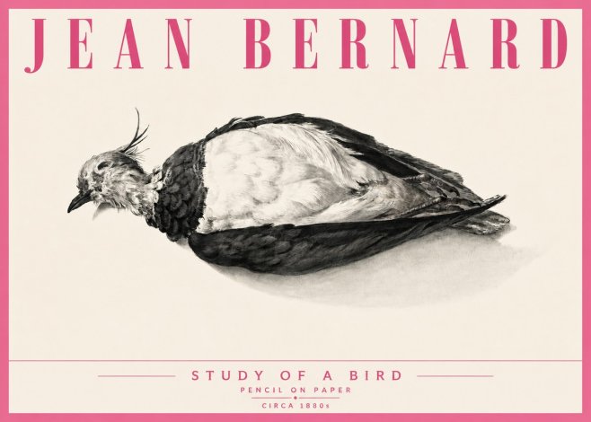 Jean Bernard Study of a Bird II No6 - Affiche