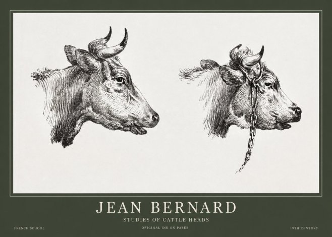 Jean Bernard Studies of Cattle Heads No1 - Affiche