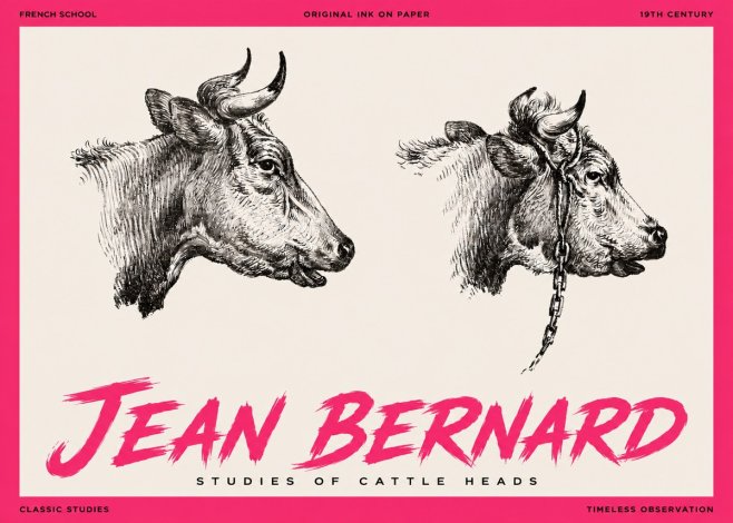 Jean Bernard Studies of Cattle Heads No3 - Affiche