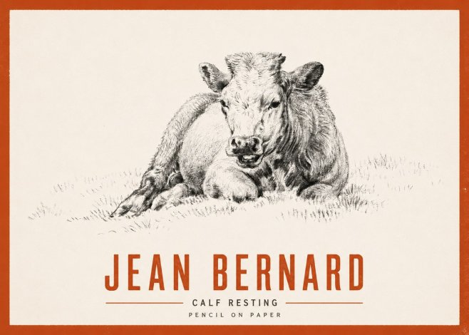 Jean Bernard Calf Resting No2 - Affiche