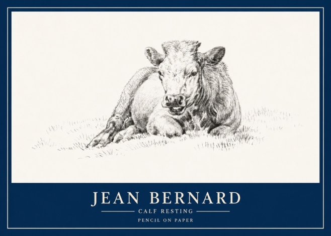 Jean Bernard Calf Resting No3 - Affiche