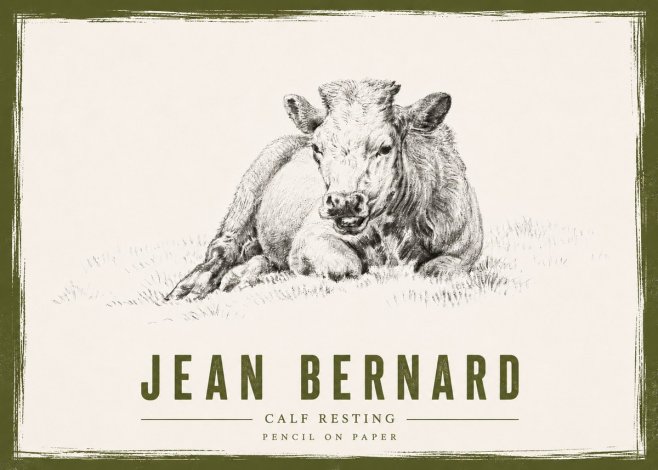 Jean Bernard Calf Resting No4 - Affiche