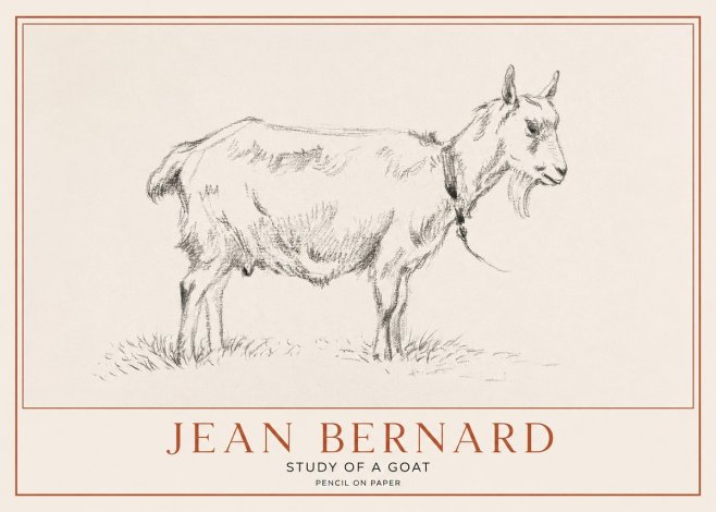 Jean Bernard Study of a Goat III No1 - Affiche