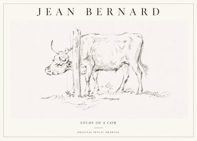 Jean Bernard Study of a Cow VII No1 - Affiche