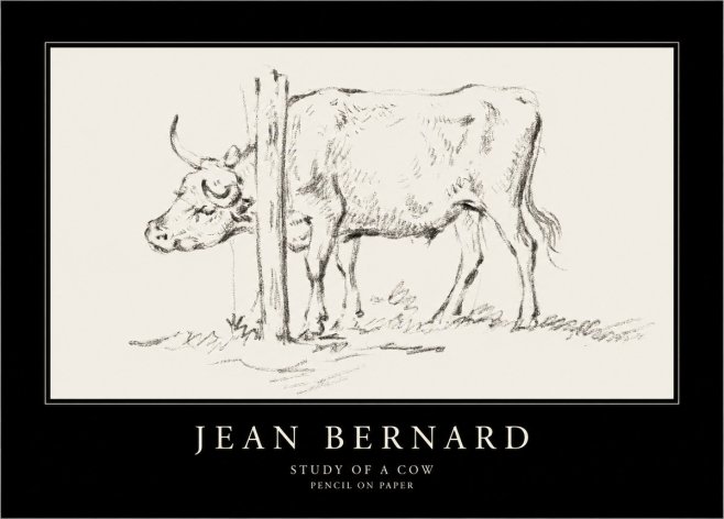Jean Bernard Study of a Cow VII No4 - Affiche