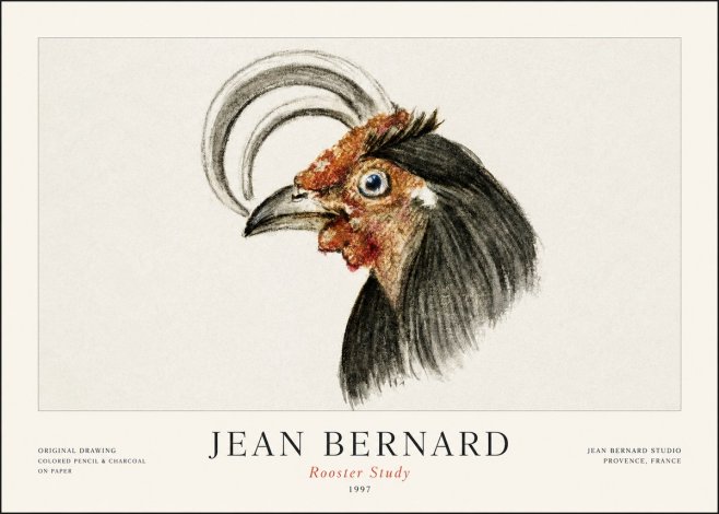 Jean Bernard Rooster Study No1 - Affiche