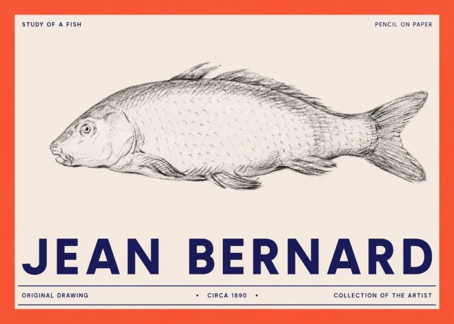 Jean Bernard Study of a Fish III No2 - Affiche