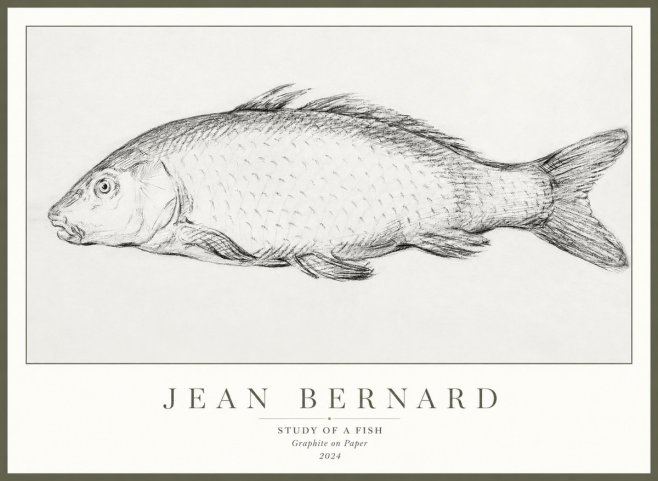 Jean Bernard Study of a Fish III No3 - Affiche
