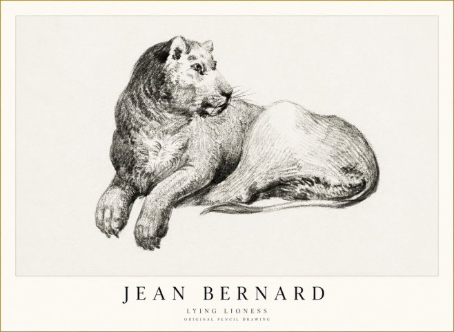 Jean Bernard Lying Lioness No1 - Affiche