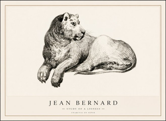 Jean Bernard Lying Lioness No2 - Affiche