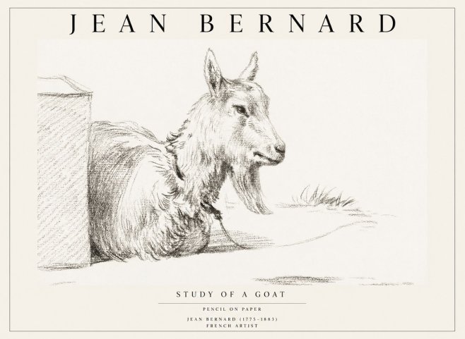 Jean Bernard Study of a Goat IV No1 - Affiche