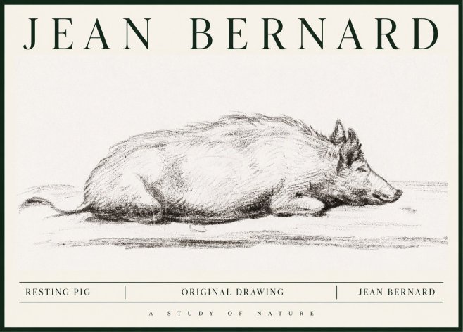 Jean Bernard Resting Pig I No1 - Affiche