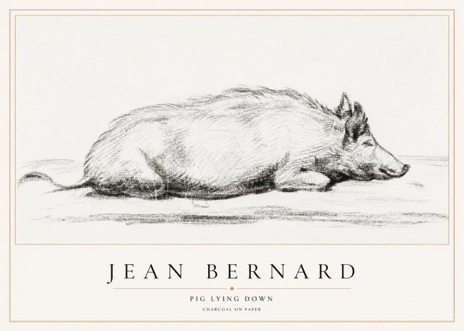 Jean Bernard Resting Pig I No2 - Affiche