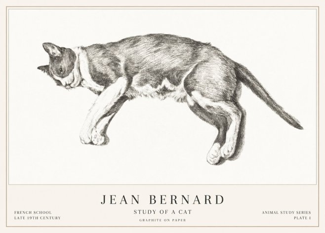Jean Bernard Cat Study VII No3 - Affiche