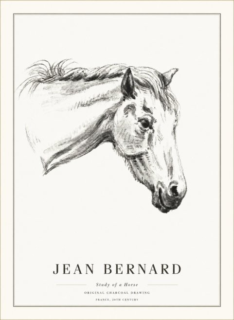 Jean Bernard Study of a Horse VIII No5 - Affiche