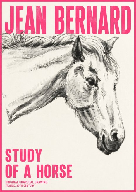 Jean Bernard Study of a Horse VIII No6 - Affiche