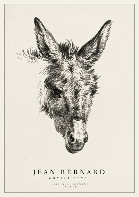 Jean Bernard Donkey Study IV No1 - Affiche