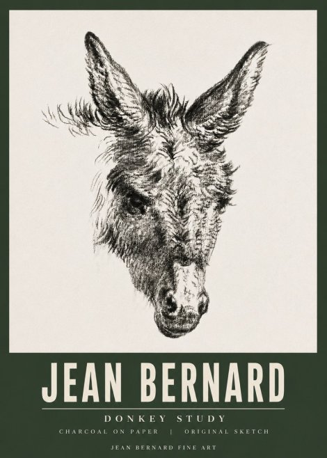 Jean Bernard Donkey Study IV No5 - Affiche