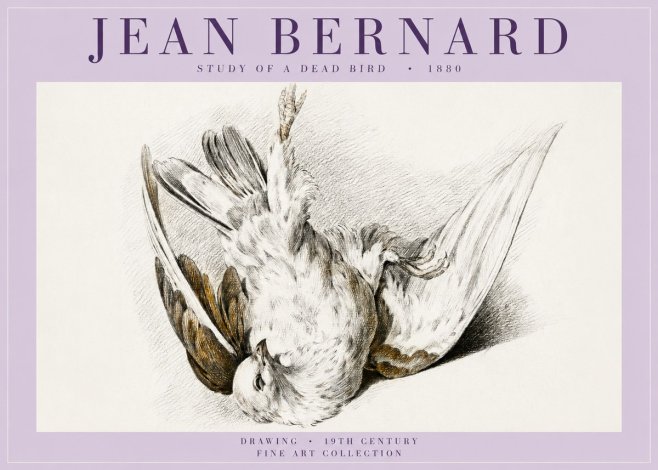 Jean Bernard Study of a Dead Bird No5 - Affiche