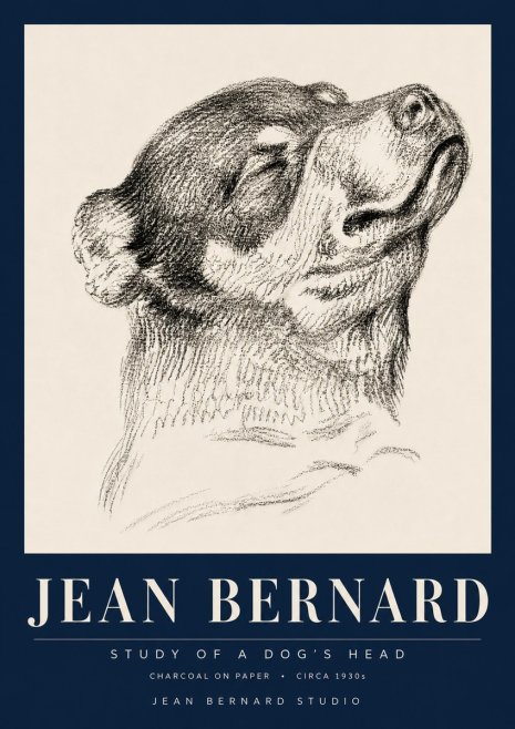 Jean Bernard Study of a Dog III No6 - Affiche