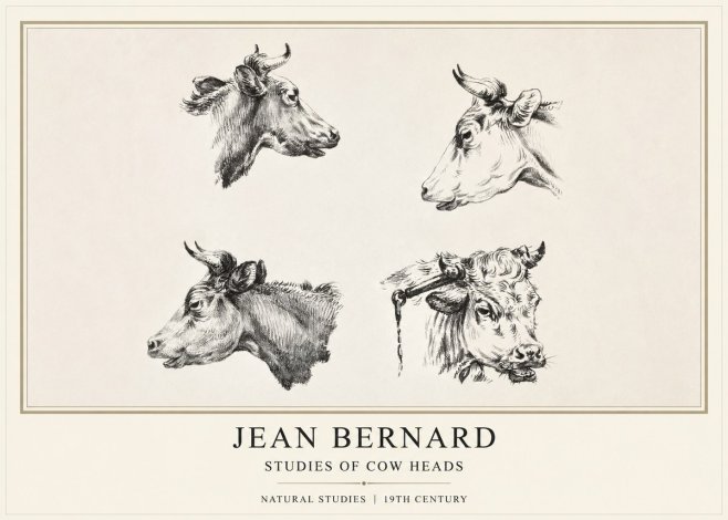 Jean Bernard Studies of Cattle - Four Heads No2 - Affiche