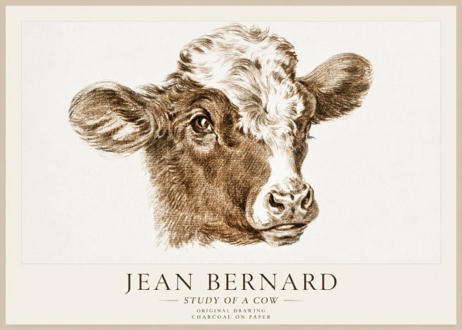 Jean Bernard Study of a Cow VIII No1 - Affiche