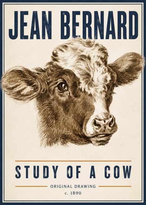 Jean Bernard Study of a Cow VIII No6 - Affiche