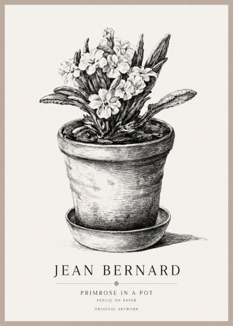 Jean Bernard Potted Primrose No2 - Affiche