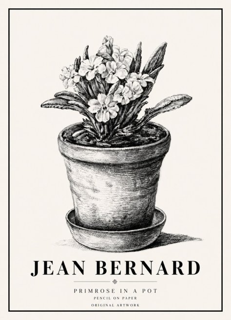 Jean Bernard Potted Primrose No6 - Affiche