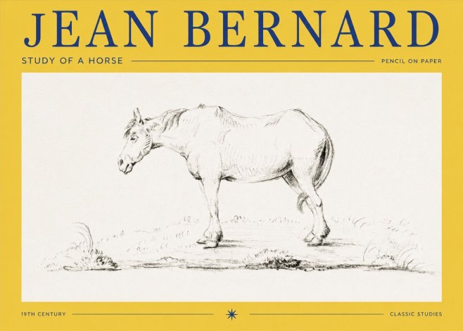 Jean Bernard Study of a Horse IX No2 - Affiche