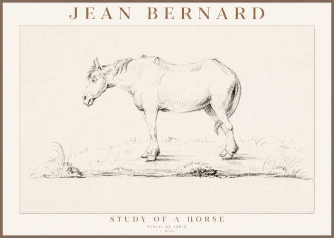 Jean Bernard Study of a Horse IX No3 - Affiche
